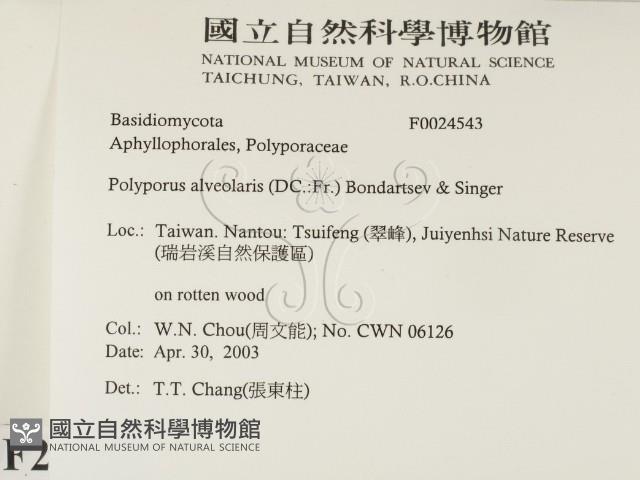 登錄號:F0024543藏品圖，第2張