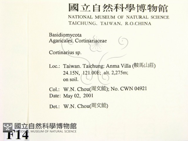 登錄號:F0014543藏品圖，第2張