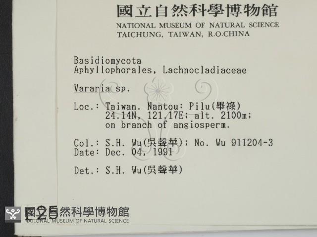 登錄號:F0002543藏品圖，第2張