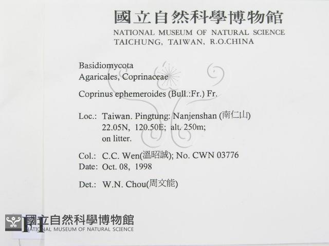 登錄號:F0012543藏品圖，第2張