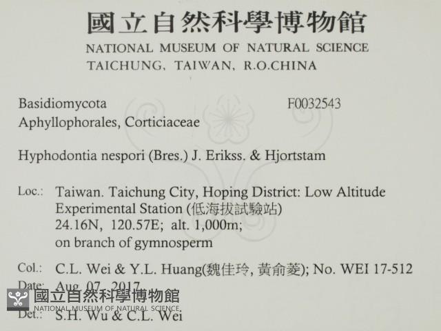 登錄號:F0032543藏品圖，第2張