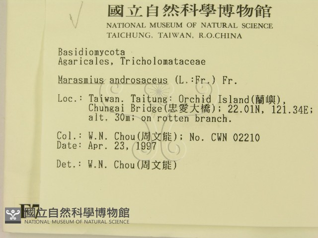 登錄號:F0007543藏品圖，第2張