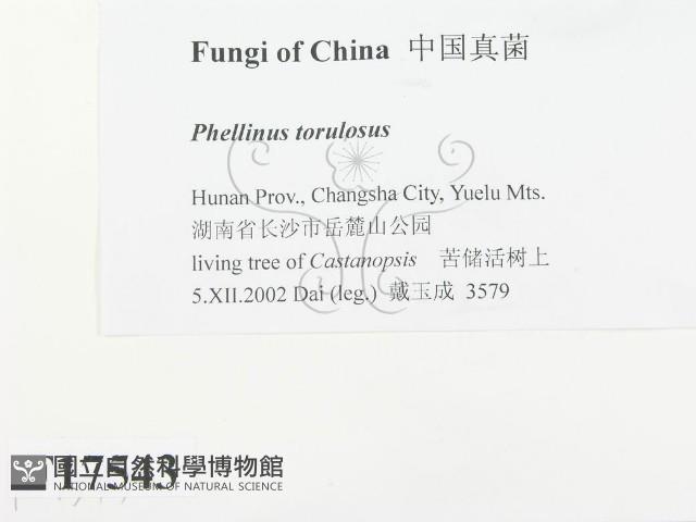 登錄號:F0017543藏品圖，第2張