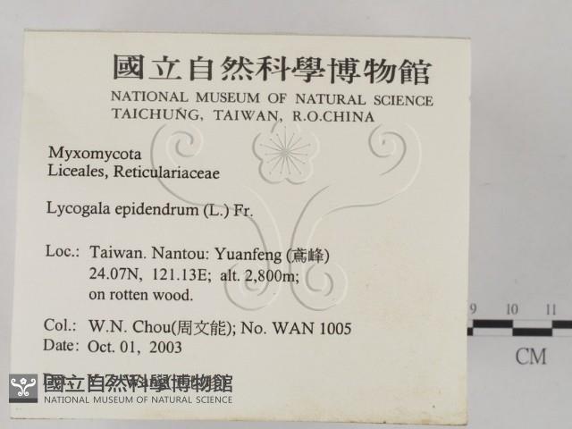 登錄號:F0015543藏品圖，第2張