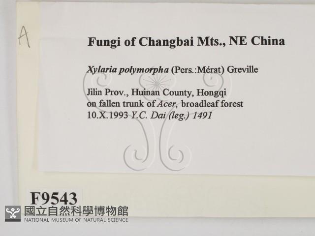登錄號:F0009543藏品圖，第2張