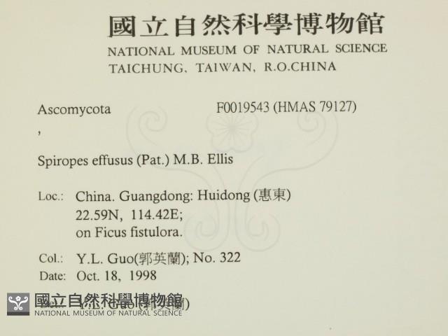登錄號:F0019543藏品圖，第2張
