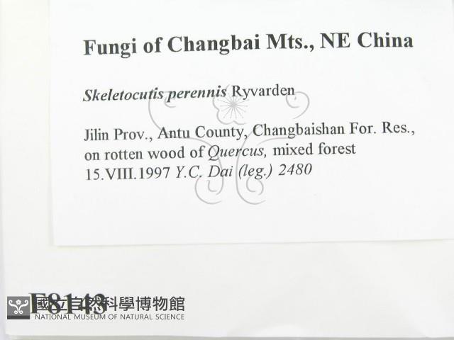 登錄號:F0008143藏品圖，第2張