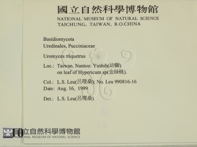 登錄號:F0010143藏品圖，第2張