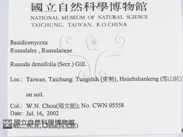 登錄號:F0016143藏品圖，第2張