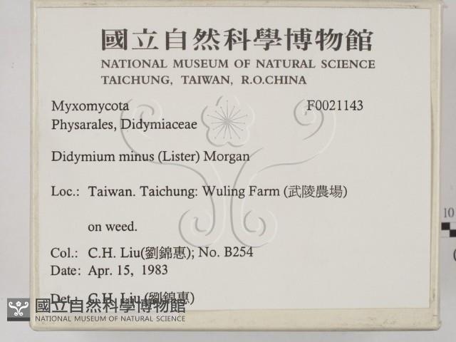 登錄號:F0021143藏品圖，第2張