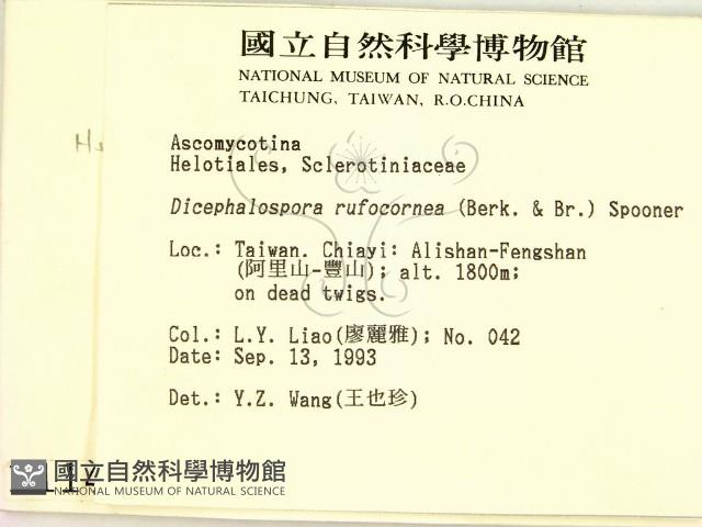 登錄號:F0001143藏品圖，第2張