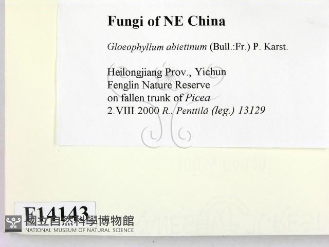 登錄號:F0014143藏品圖，第2張