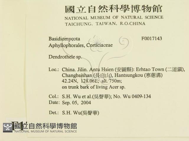 登錄號:F0017143藏品圖，第2張