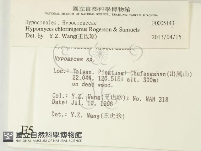 登錄號:F0005143藏品圖，第2張