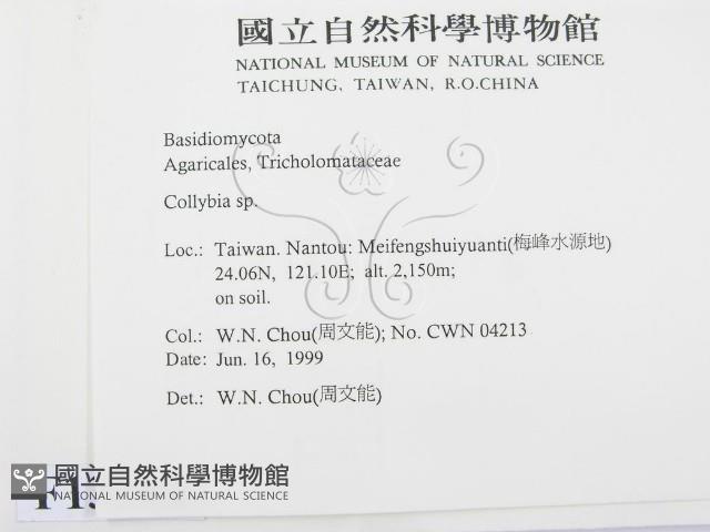 登錄號:F0013143藏品圖，第2張
