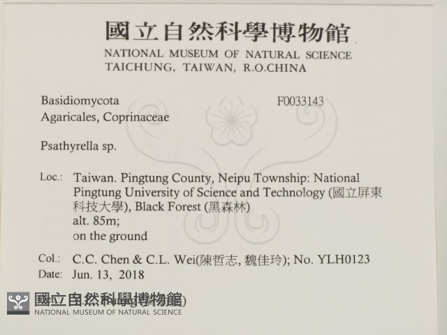 登錄號:F0033143藏品圖，第2張