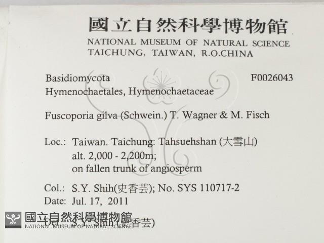 登錄號:F0026043藏品圖，第2張