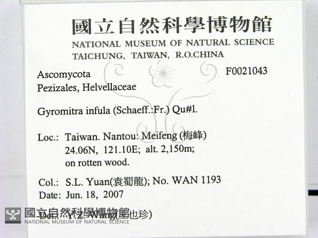 登錄號:F0021043藏品圖，第2張