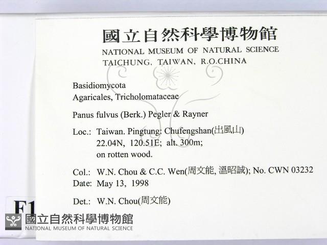 登錄號:F0011043藏品圖，第2張