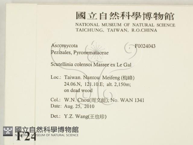 登錄號:F0024043藏品圖，第2張