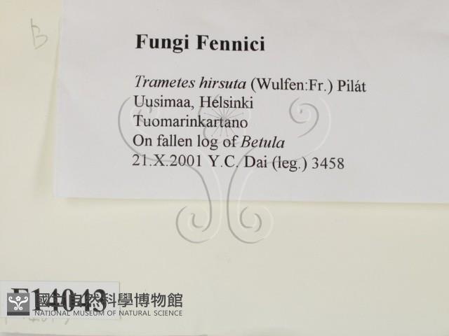 登錄號:F0014043藏品圖，第2張