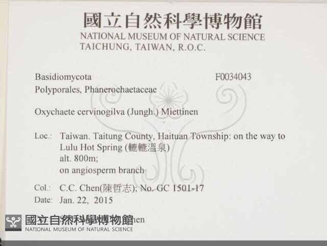 登錄號:F0034043藏品圖，第2張