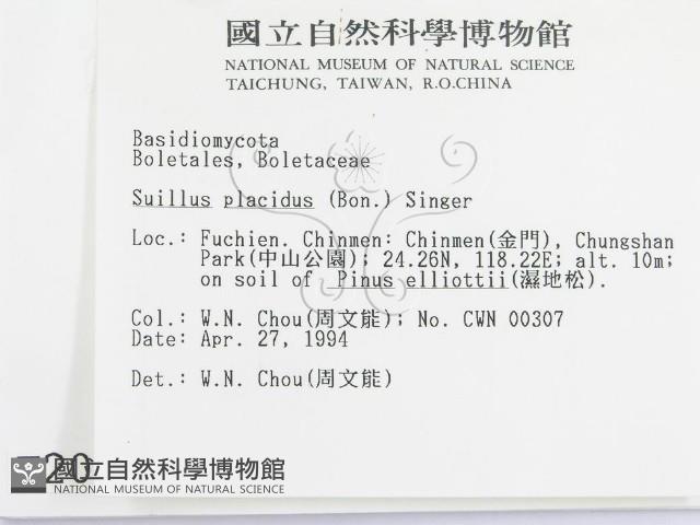 登錄號:F0002043藏品圖，第2張