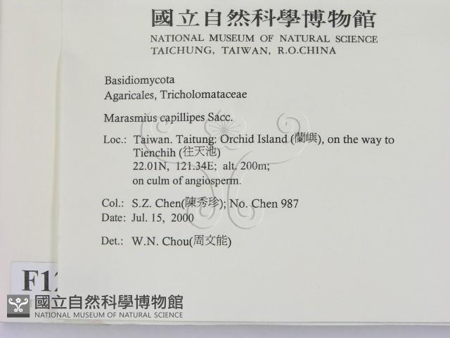 登錄號:F0012043藏品圖，第2張