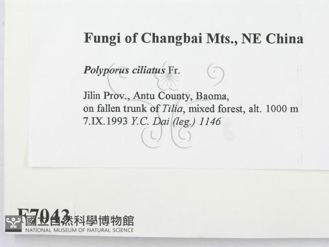 登錄號:F0007043藏品圖，第2張