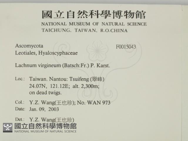 登錄號:F0015043藏品圖，第2張
