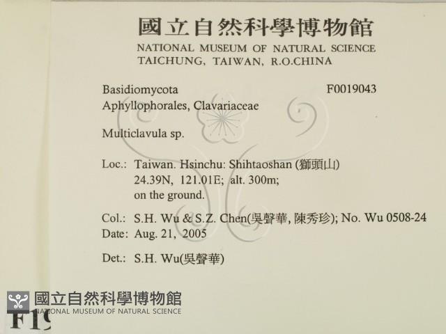 登錄號:F0019043藏品圖，第2張