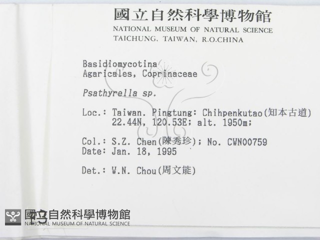 登錄號:F0003043藏品圖，第2張