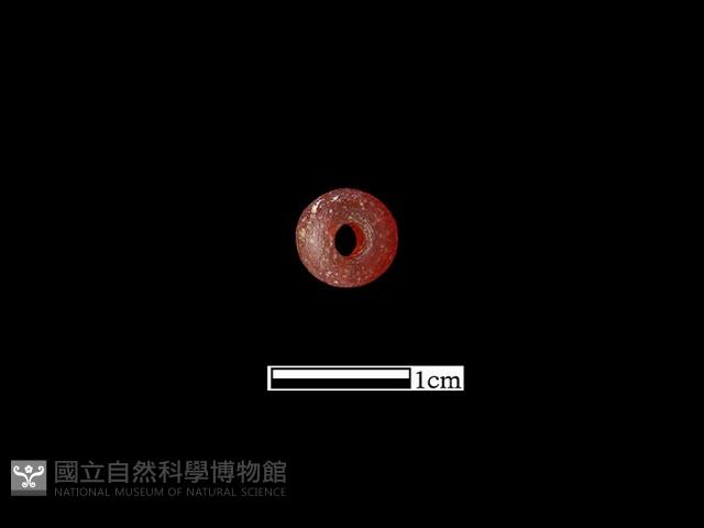 Accession Number:BK-GL043 Collection Image, Figure 2, Total 2 Figures