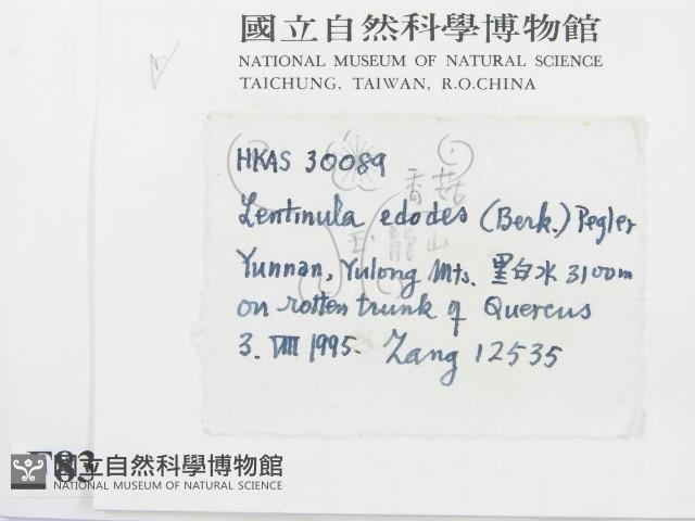 香菇	藏品圖，第2張