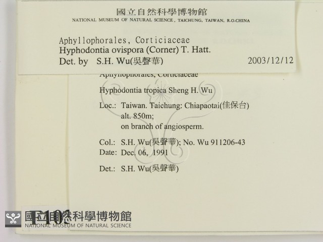 登錄號:F0010343藏品圖，第2張