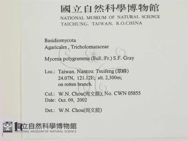 登錄號:F0016343藏品圖，第2張