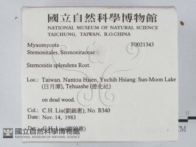 登錄號:F0021343藏品圖，第2張