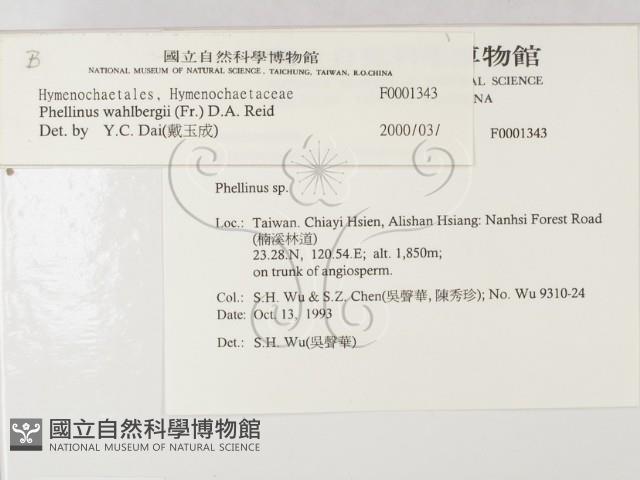 登錄號:F0001343藏品圖，第2張