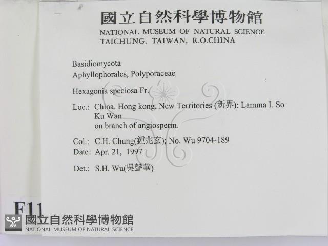 登錄號:F0011343藏品圖，第2張