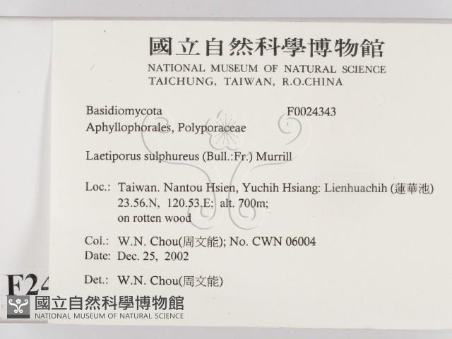 登錄號:F0024343藏品圖，第2張