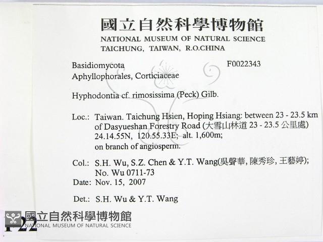 登錄號:F0022343藏品圖，第2張