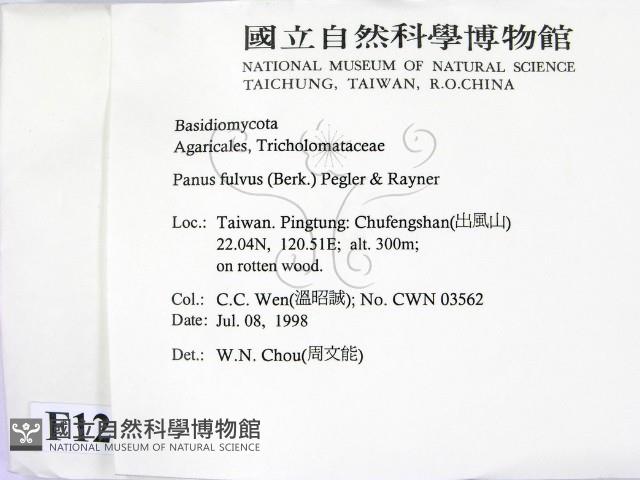 登錄號:F0012343藏品圖，第2張