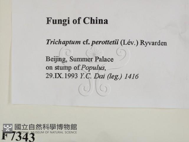 登錄號:F0007343藏品圖，第2張