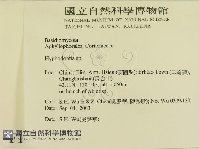 登錄號:F0015343藏品圖，第2張