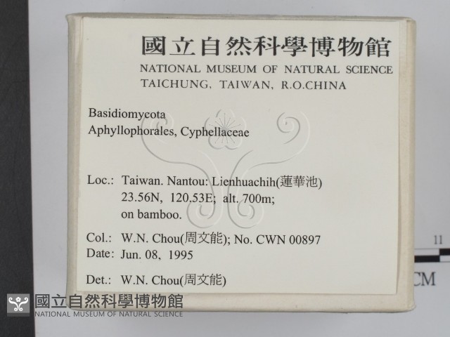 登錄號:F0003343藏品圖，第2張