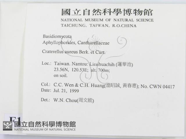 登錄號:F0013343藏品圖，第2張
