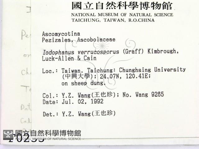 登錄號:F0000233藏品圖，第2張