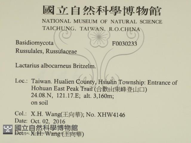 登錄號:F0030233藏品圖，第2張