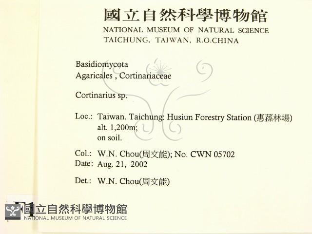 登錄號:F0016233藏品圖，第2張