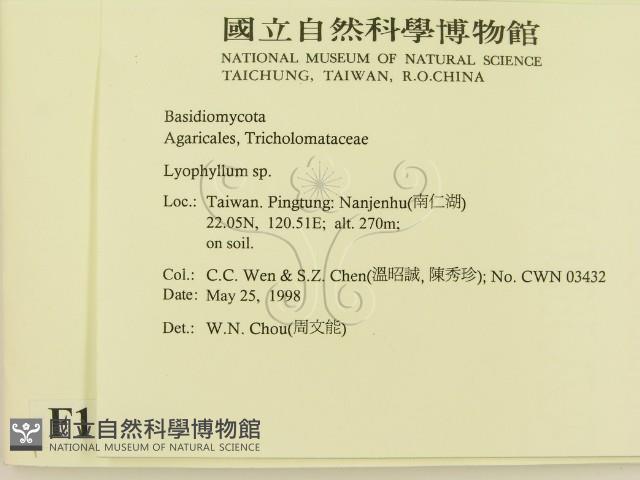 登錄號:F0011233藏品圖，第2張